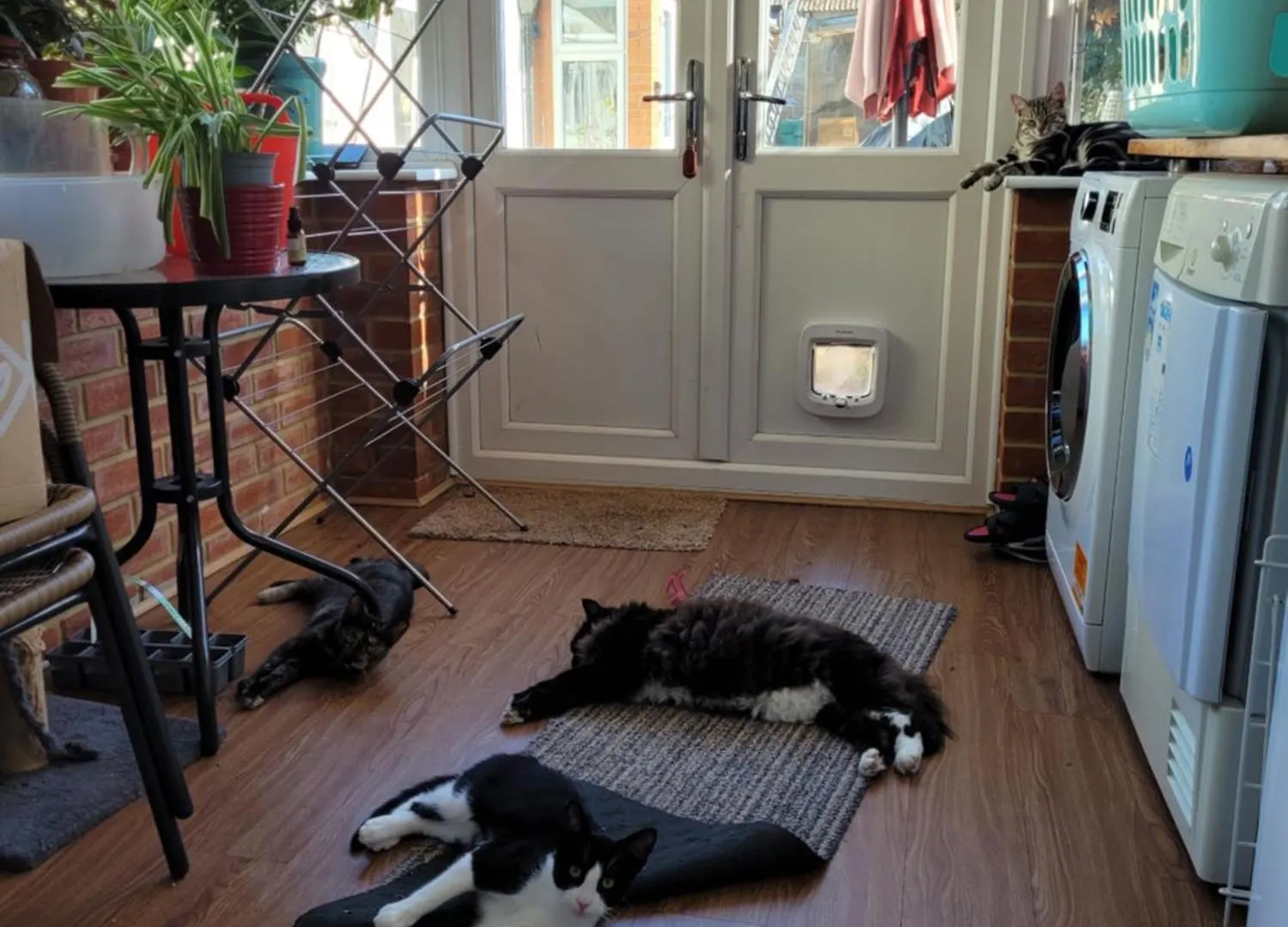 Joanne'S Joint Apartment London Homestay